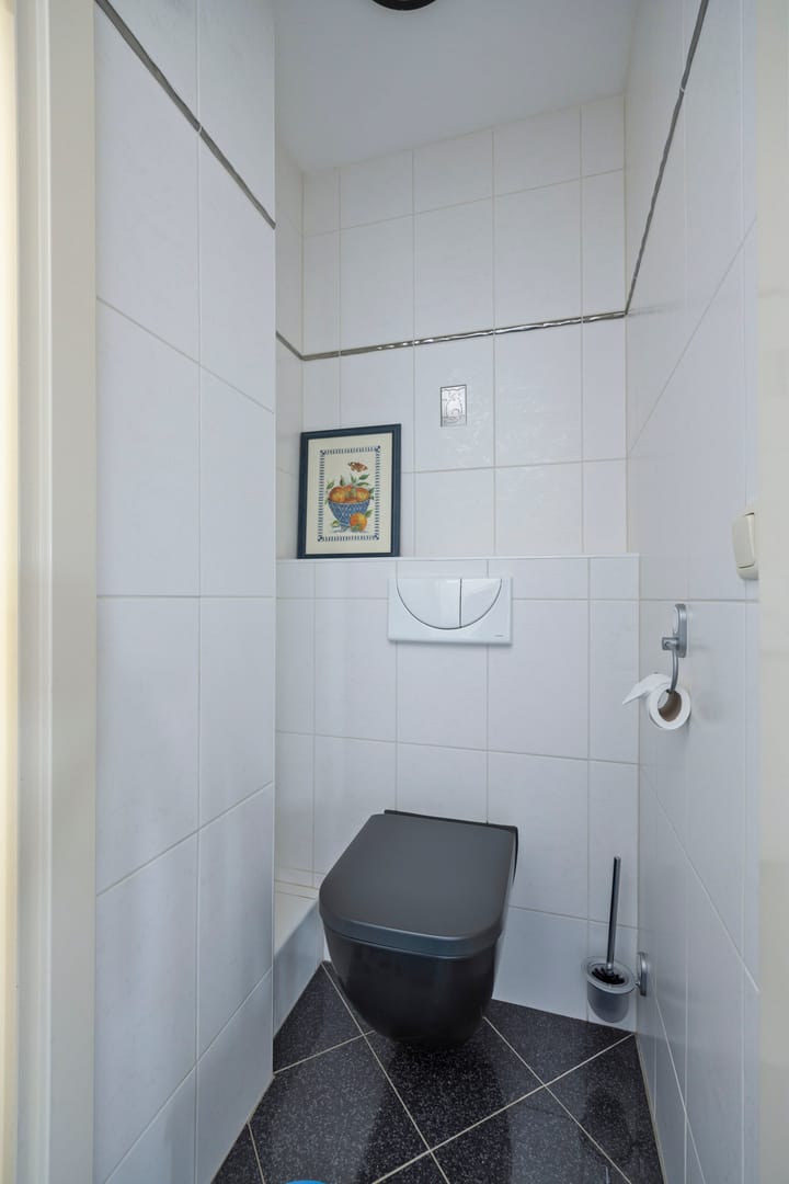 Photo 38 of Dwergstern 45