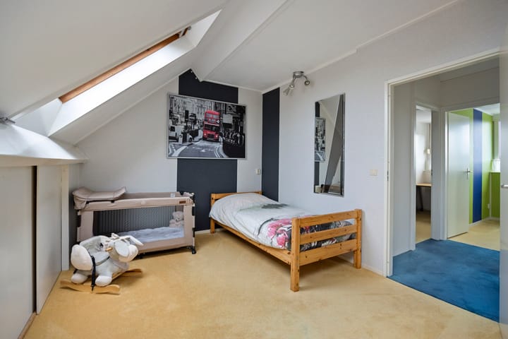 Photo 41 of Dwergstern 45