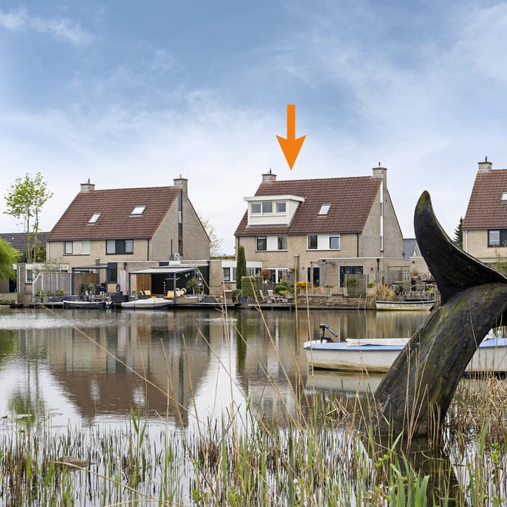 Photo 7 of Dwergstern 45