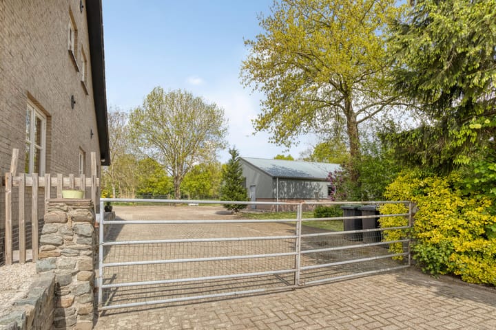 Foto 37 van Boterstraat 17