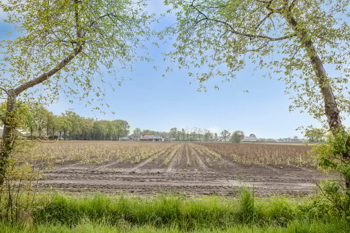 Foto 41 van Boterstraat 17