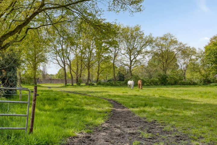 Foto 42 van Boterstraat 17