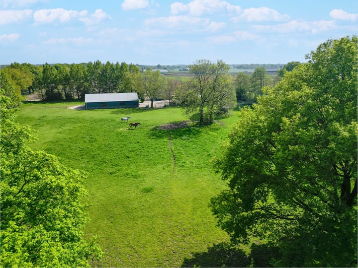 Foto 46 van Boterstraat 17