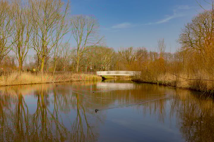 Foto 42 van Plesmanlaan 30-I