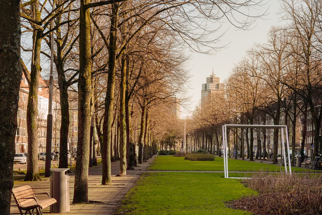 Foto 31 van Churchill-laan 135-3