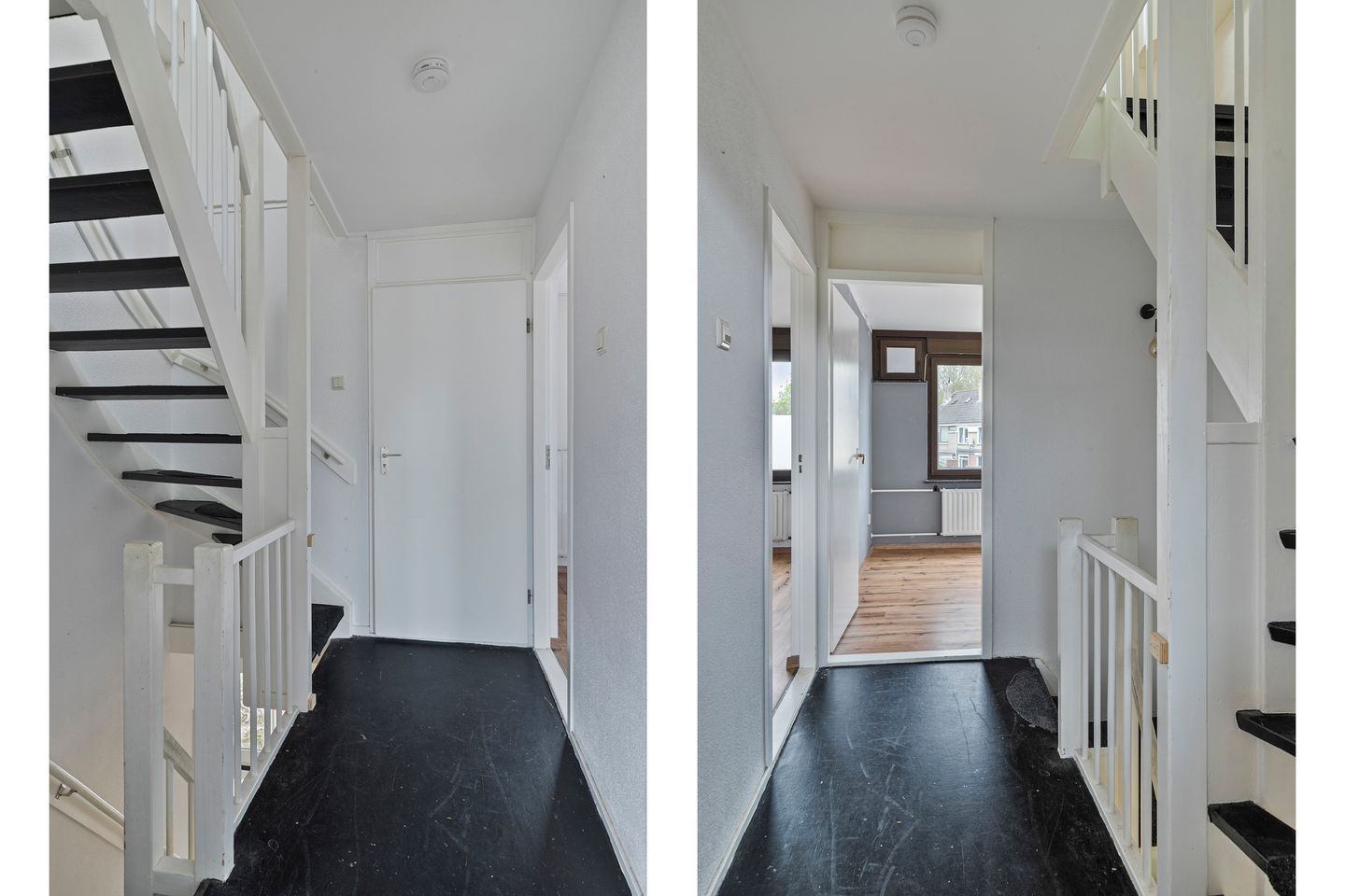 Photo 14 of Orion 10