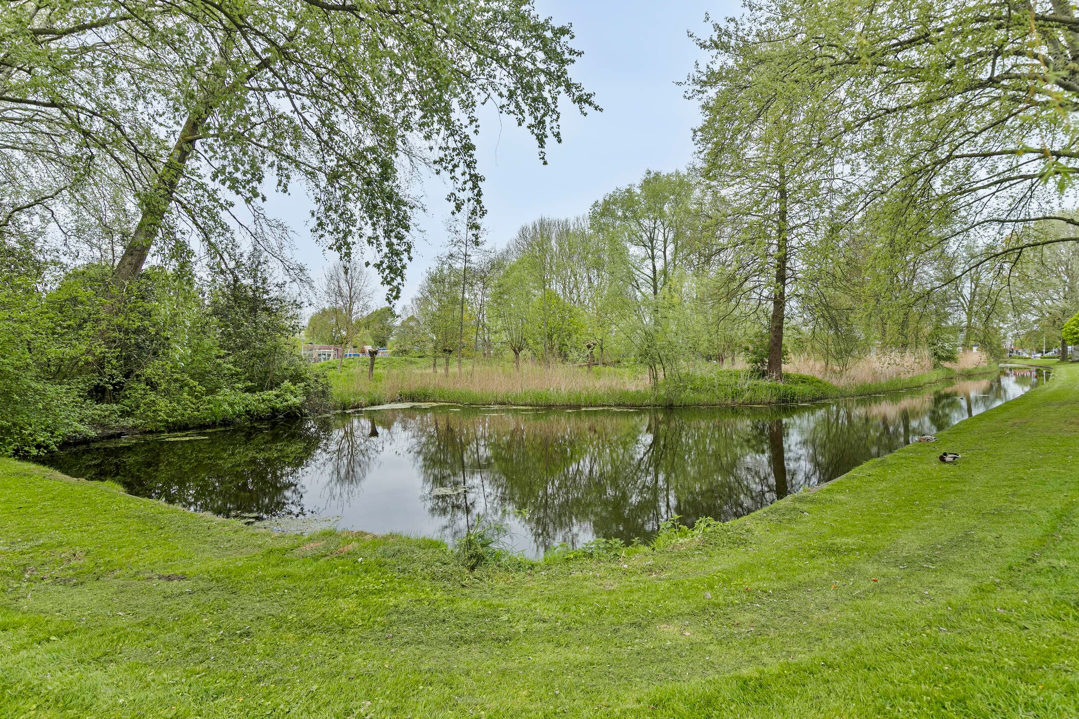 Photo 30 of Orion 10