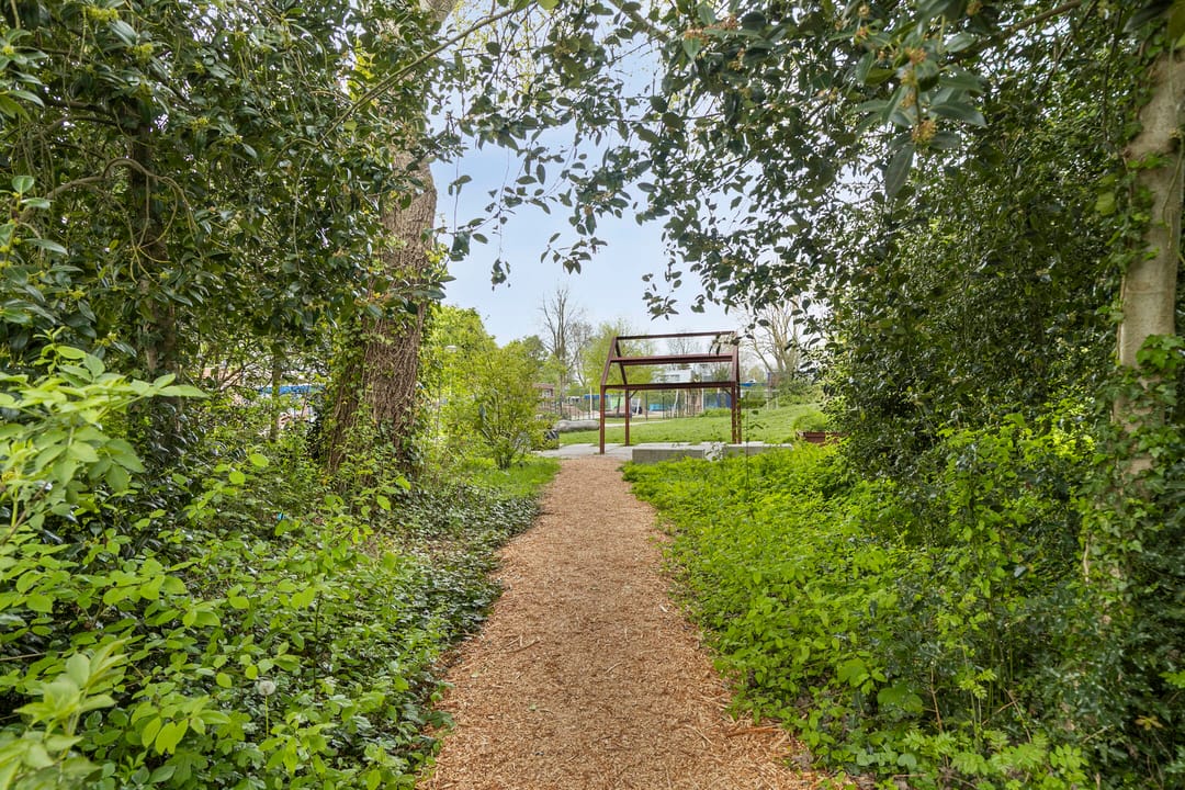 Photo 31 of Orion 10