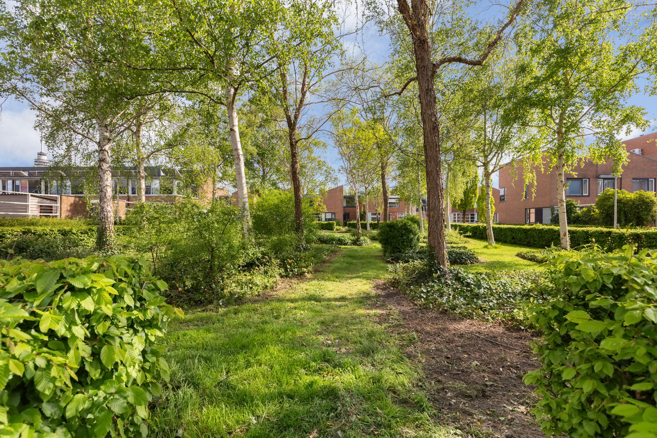 Foto 51 van Hendrik van Lunterenstraat 10