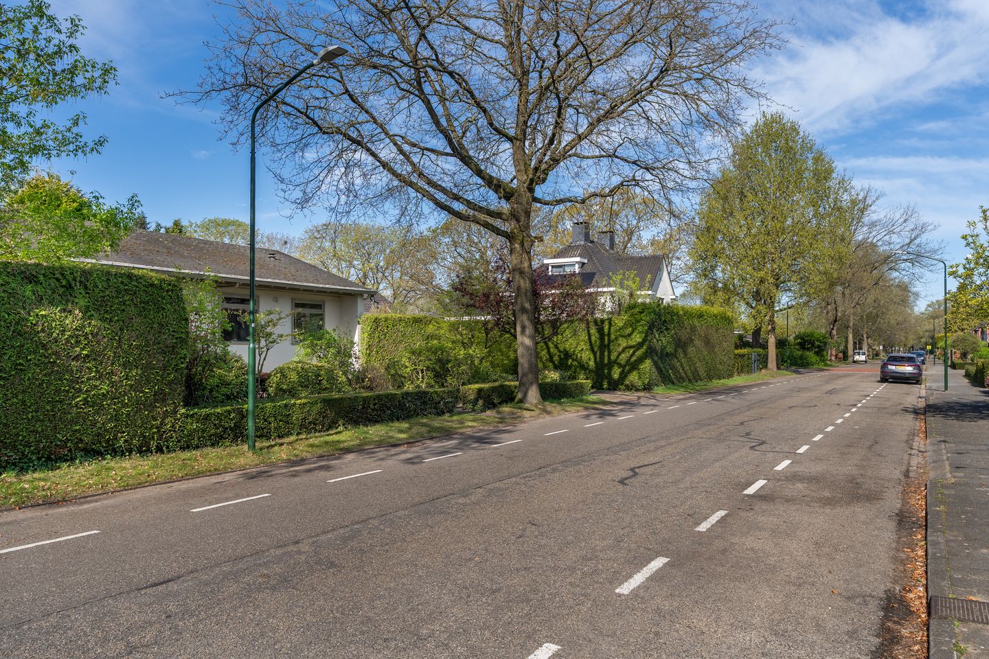 Foto 40 van Papaverstraat 17