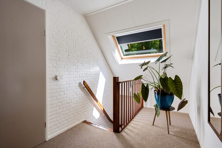 Foto 22 van Barnar 41