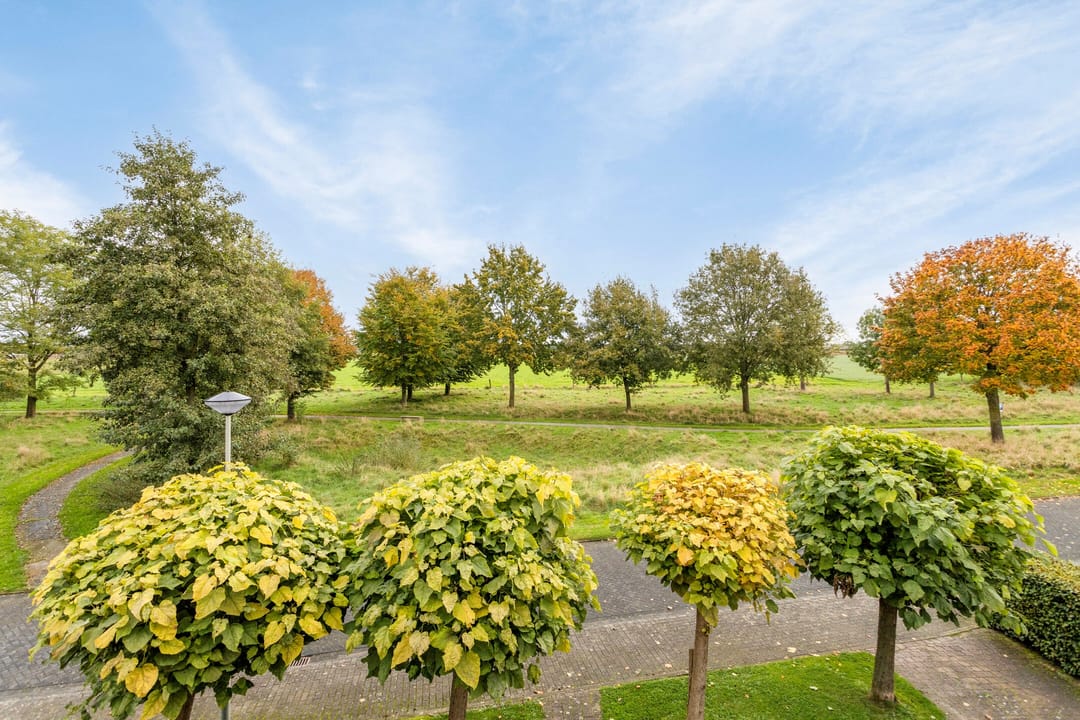 Photo 43 of Adam Beckersdreef 21