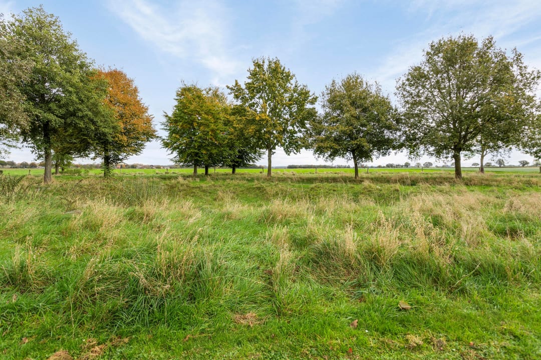 Photo 53 of Adam Beckersdreef 21