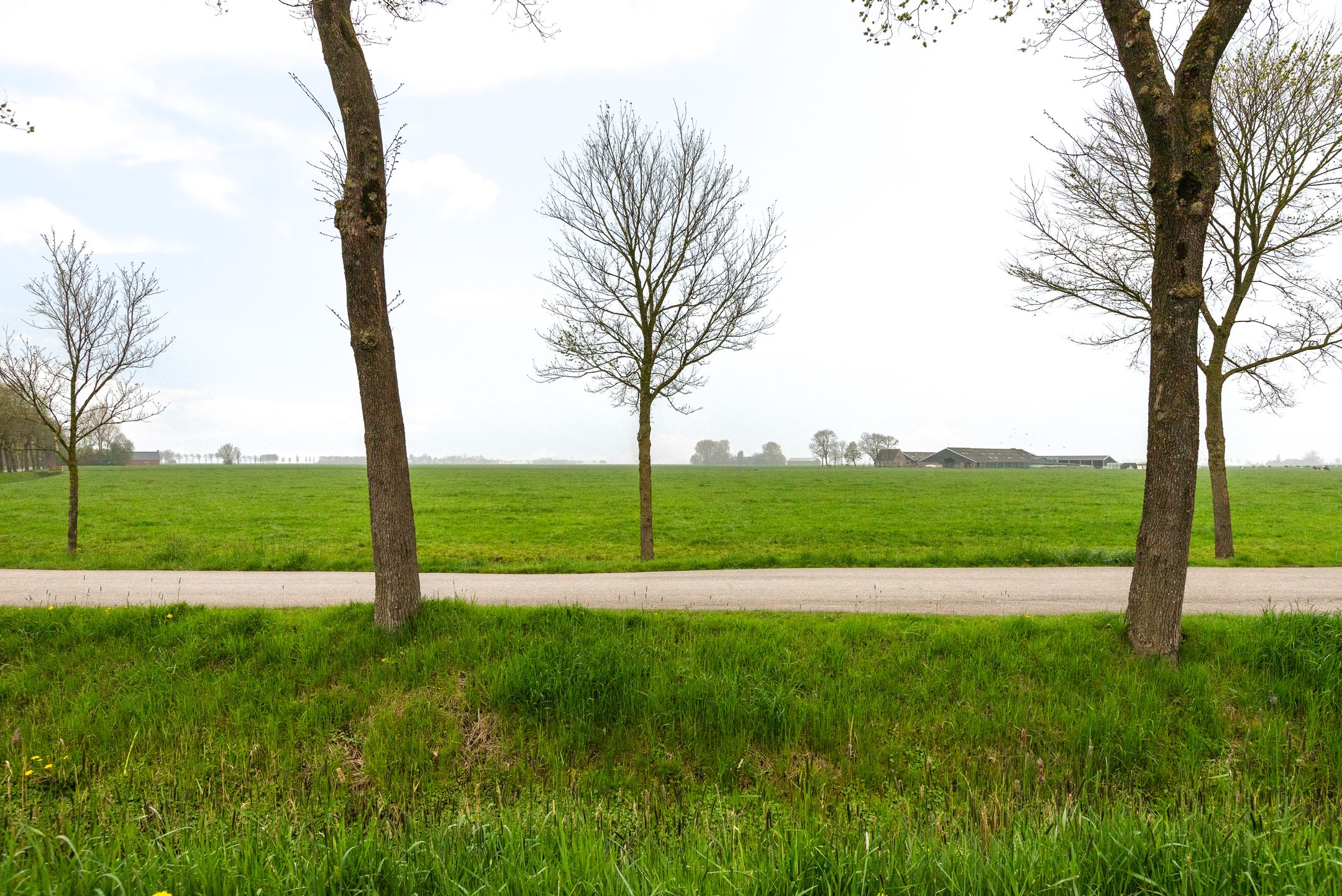 Foto 45 van Jant Nienhuisstraat 3