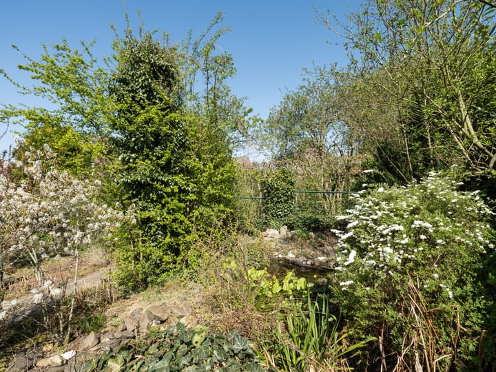 Foto 52 van Bergerstraat 25