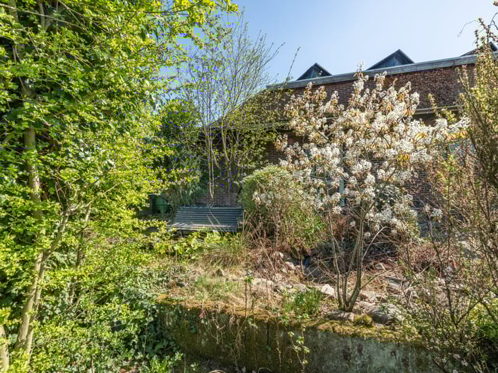 Foto 56 van Bergerstraat 25