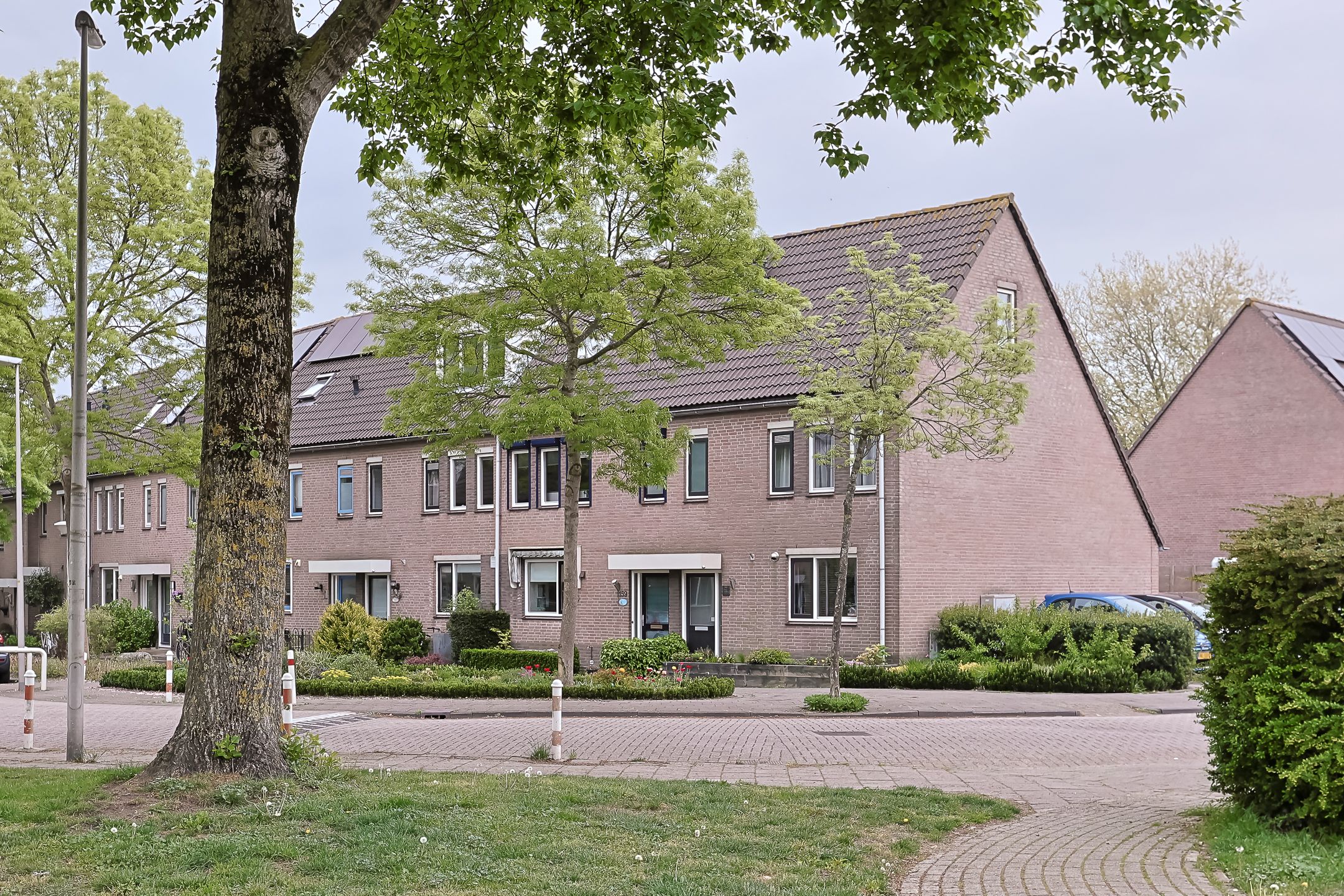 Photo 3 of Korenmolen 157