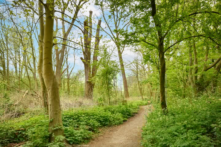 Photo 17 of Semarangstraat 13-E