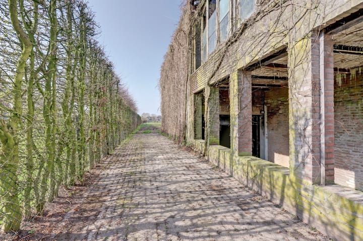 Foto 45 van Everdineweerd 25