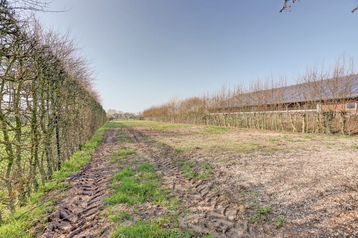 Foto 47 van Everdineweerd 25