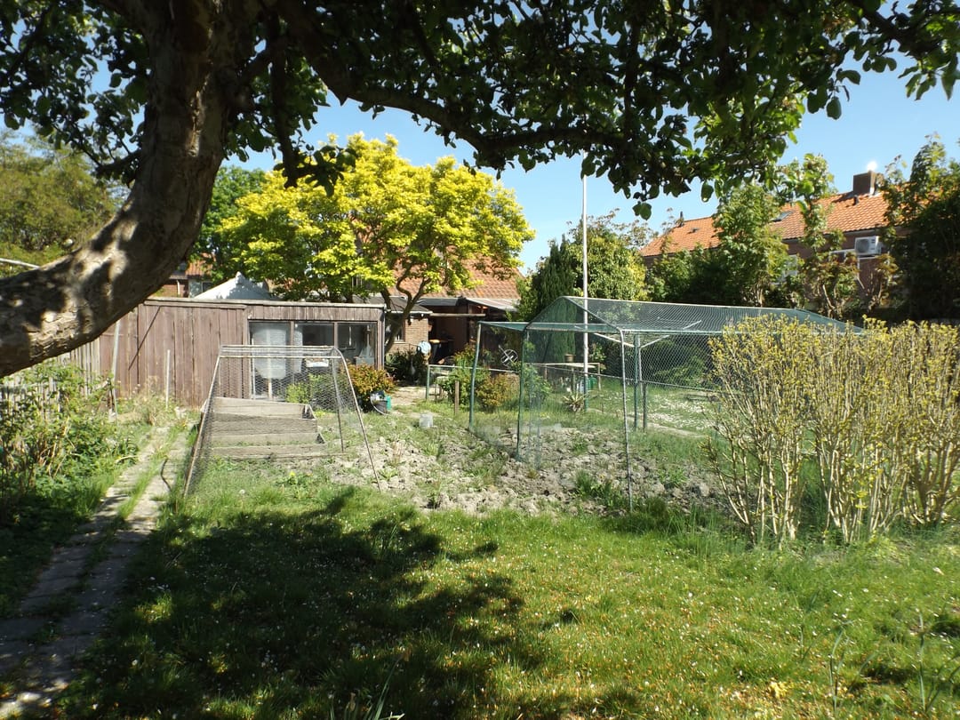 Foto 8 van Julianastraat 14