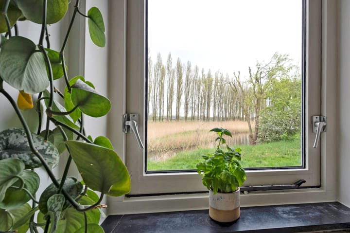 Photo 16 of Waterland 164