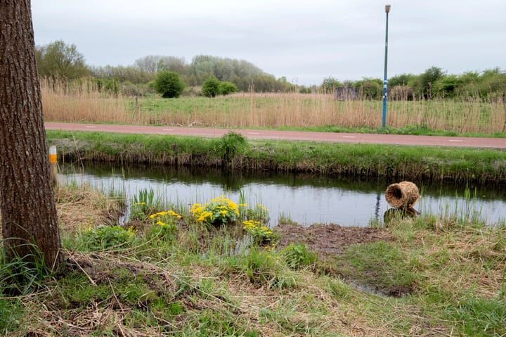 Photo 58 of Waterland 164