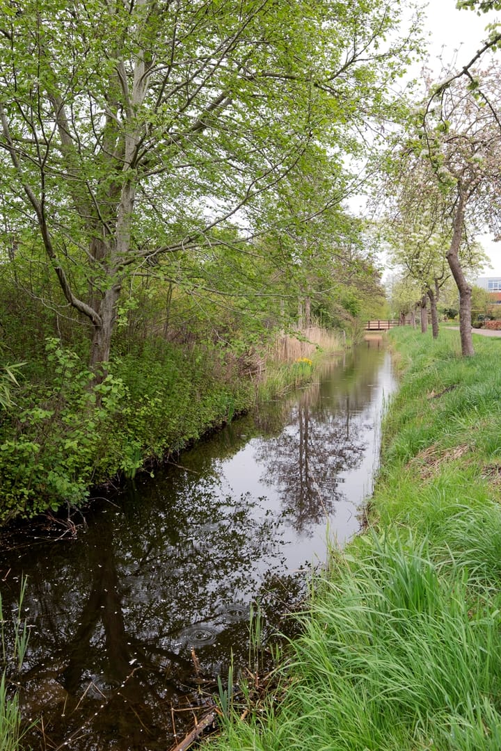 Photo 60 of Waterland 164