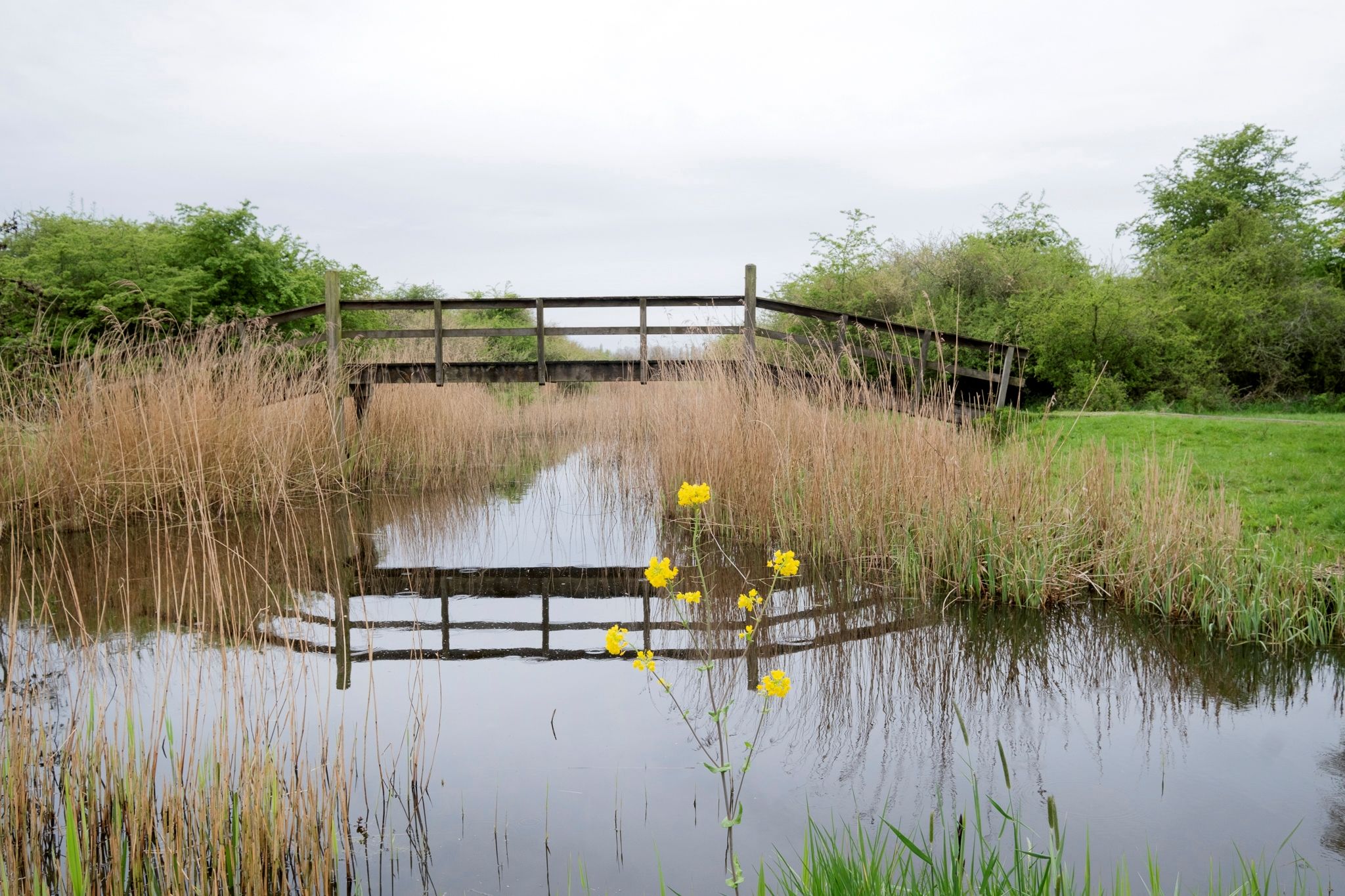 Foto 63 van Waterland 164