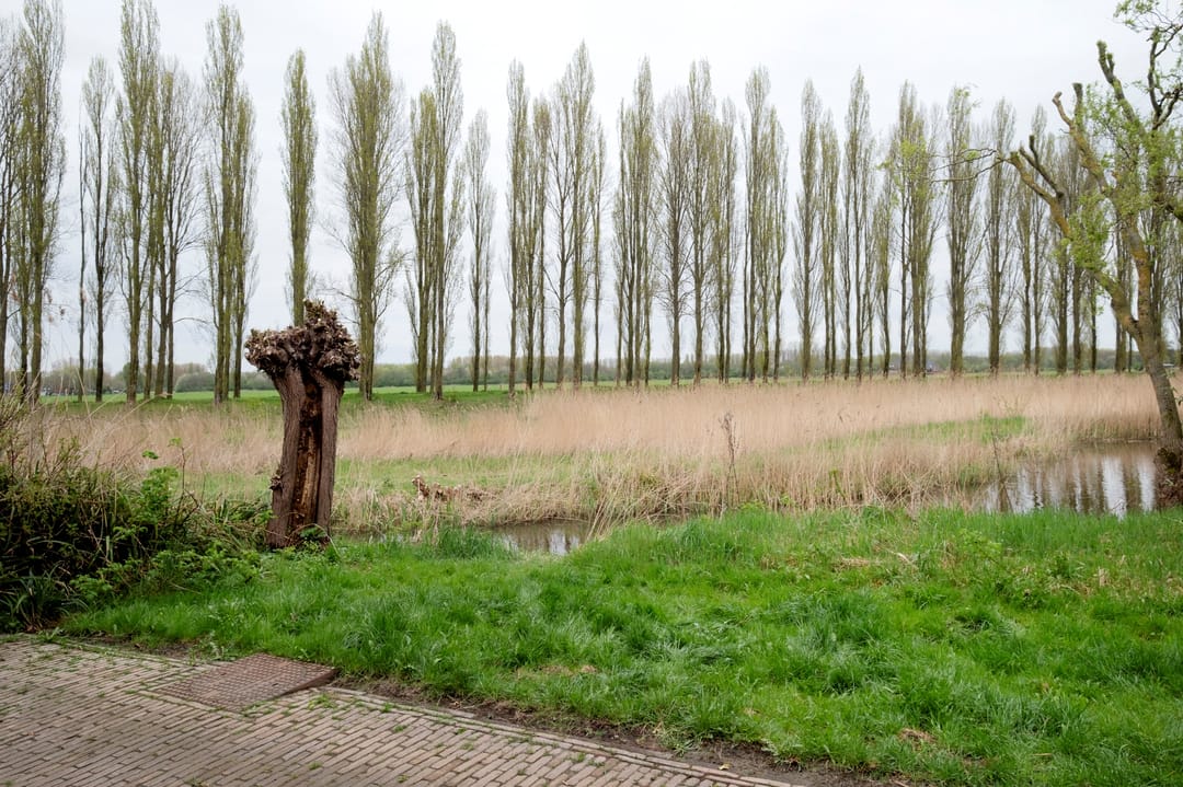 Foto 67 van Waterland 164