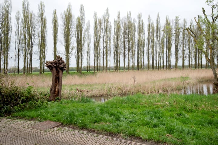 Photo 67 of Waterland 164