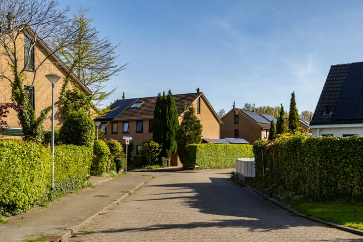 Foto 6 van Hiddemaheerd 177