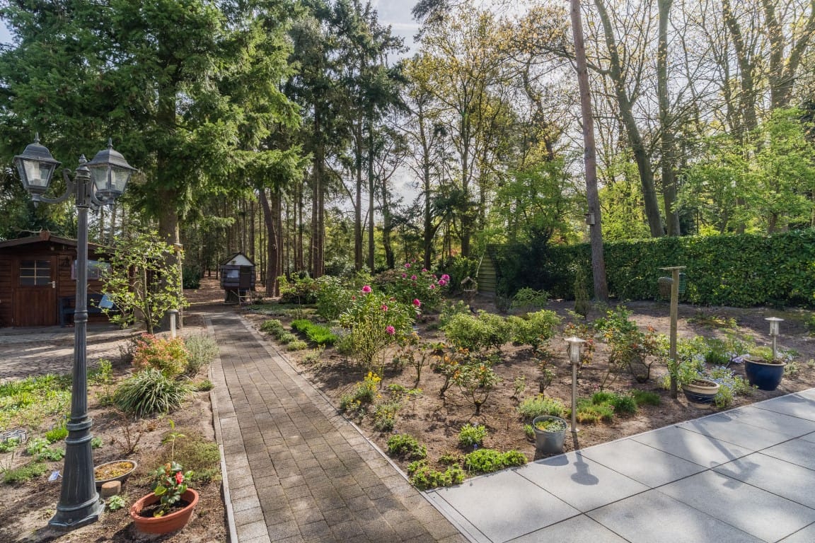 Photo 3 of Schapendreef 15