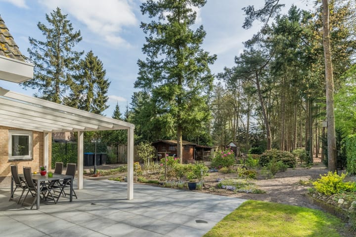 Foto 39 van Schapendreef 15