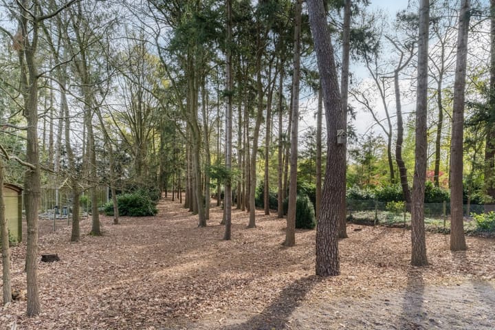 Foto 43 van Schapendreef 15