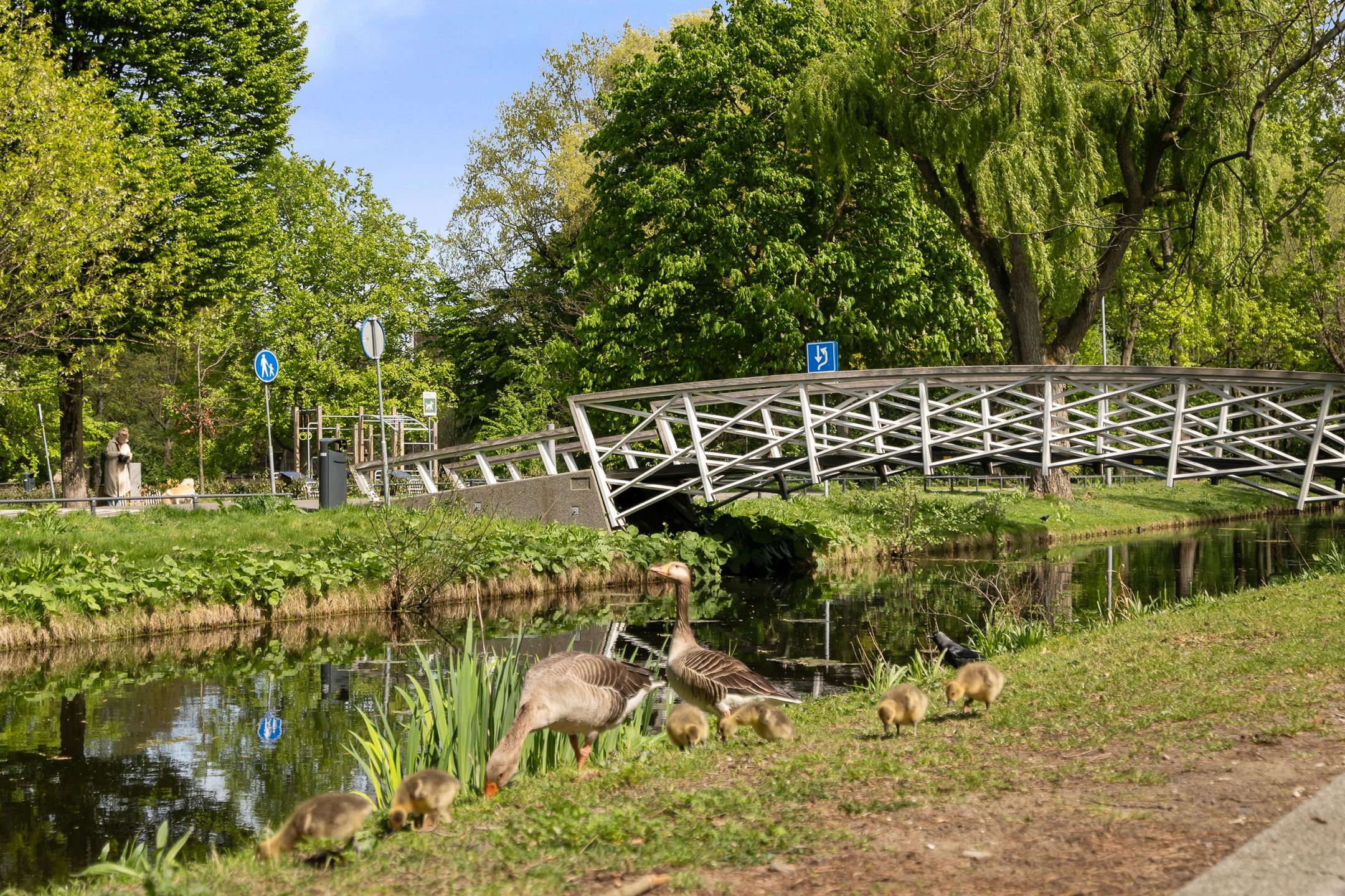 Foto 45 van Koraalstraat 22-B