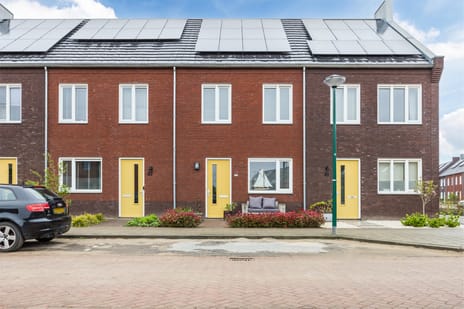 undefined main image