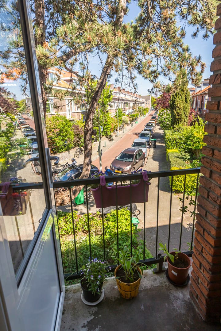 Foto 10 van Goudreinetstraat 492