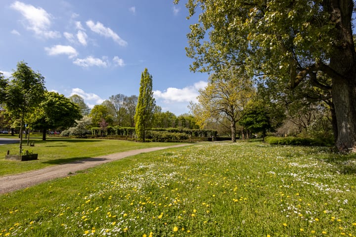 Foto 5 van Pioenstraat 61