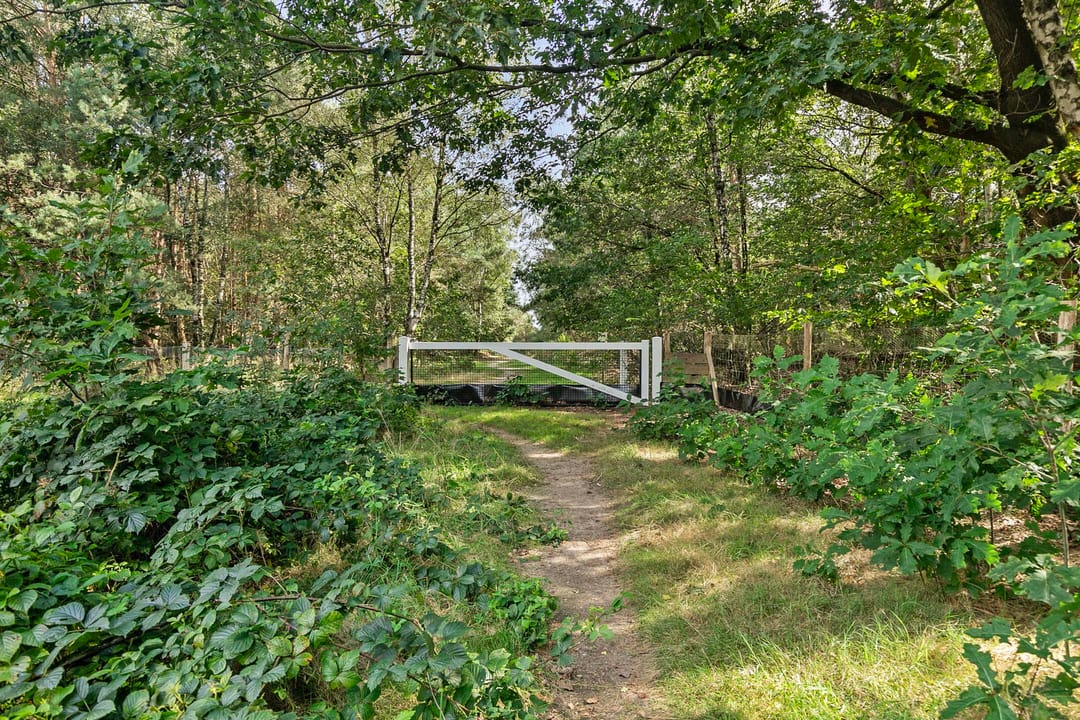 Photo 92 of Barend Veenendaalstraat 38