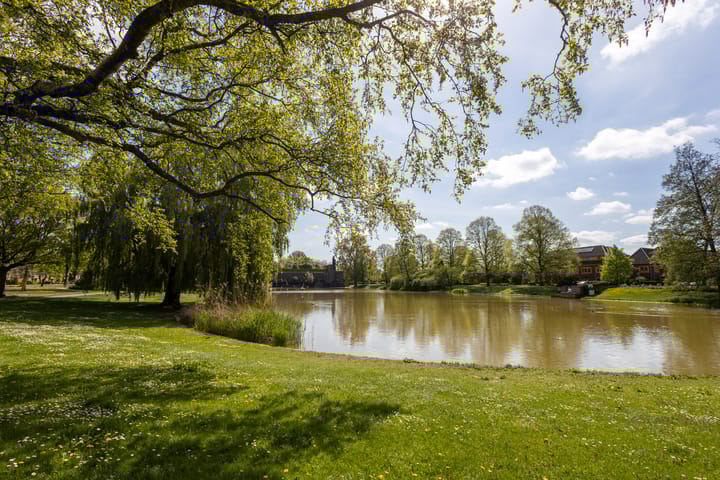 Photo 36 of Pioenstraat 61