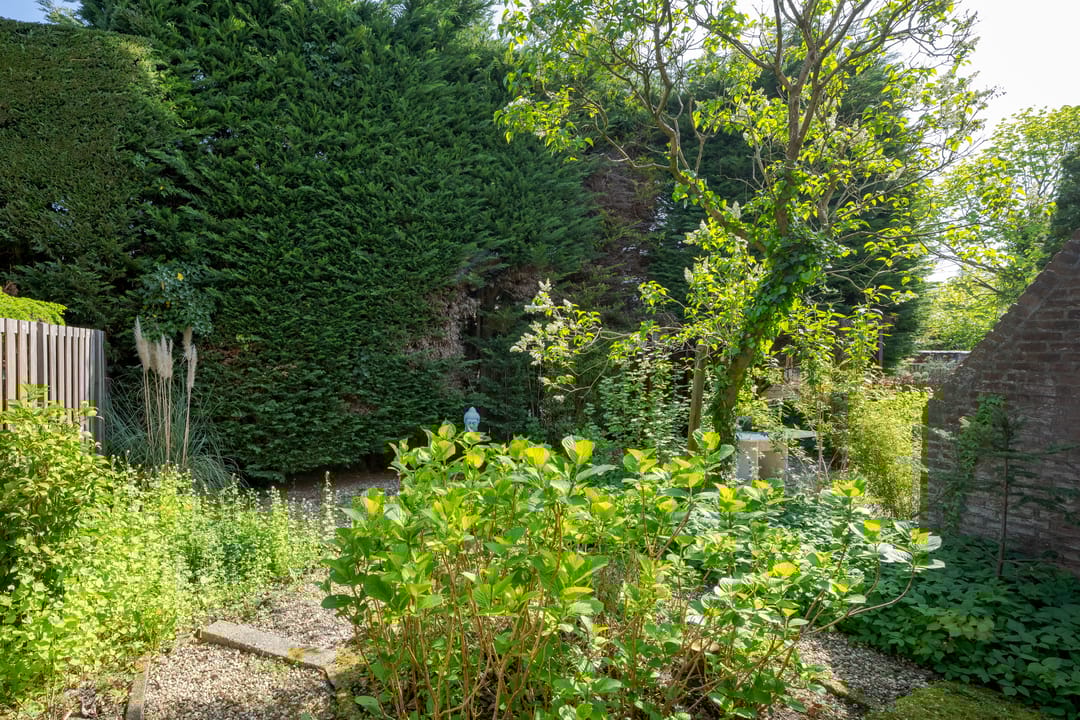 Foto 46 van Papelaan-West 160