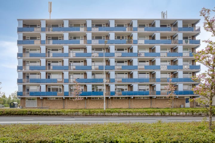 Foto 3 van Gerard Dousingel 66