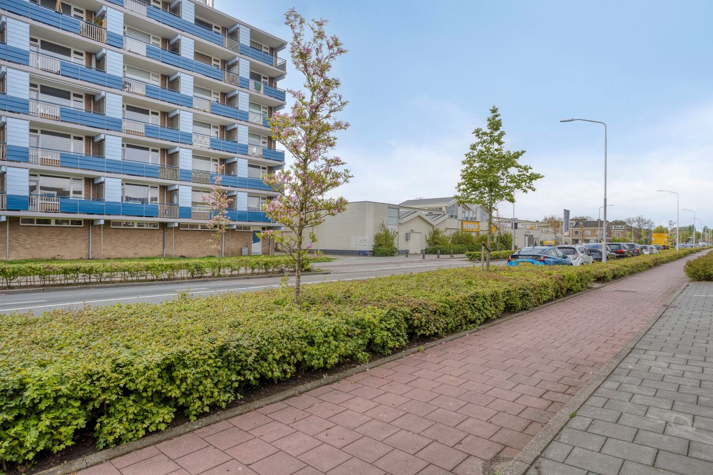 Photo 4 of Gerard Dousingel 66