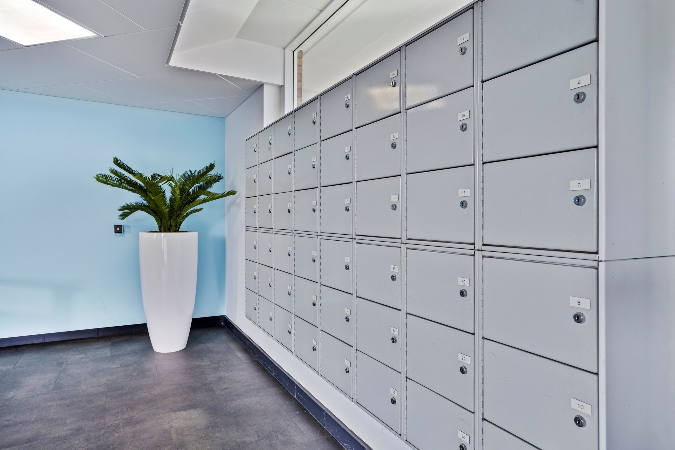 Photo 6 of Gerard Dousingel 66