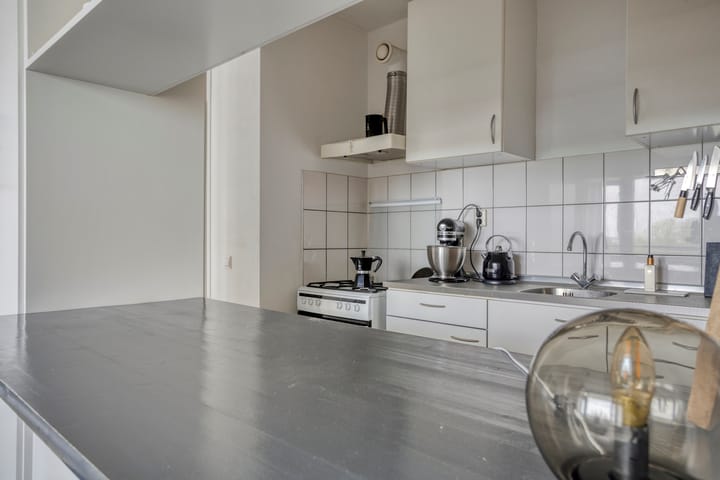 Foto 12 van Gerard Dousingel 66