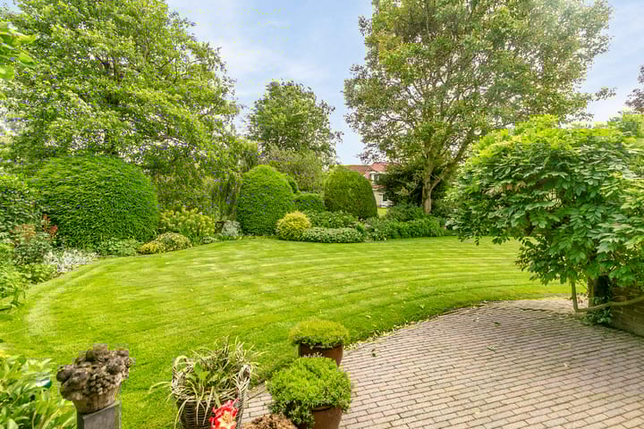 Foto 2 van Lijster 24