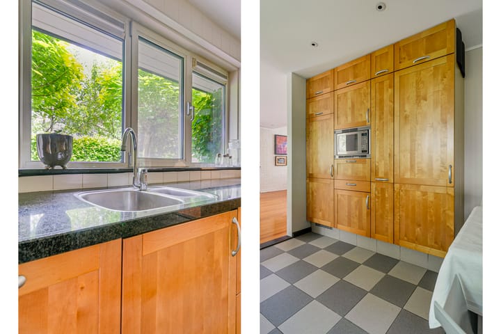 Foto 14 van Lijster 24