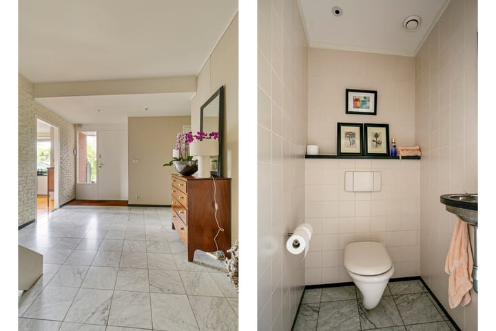 Foto 16 van Lijster 24