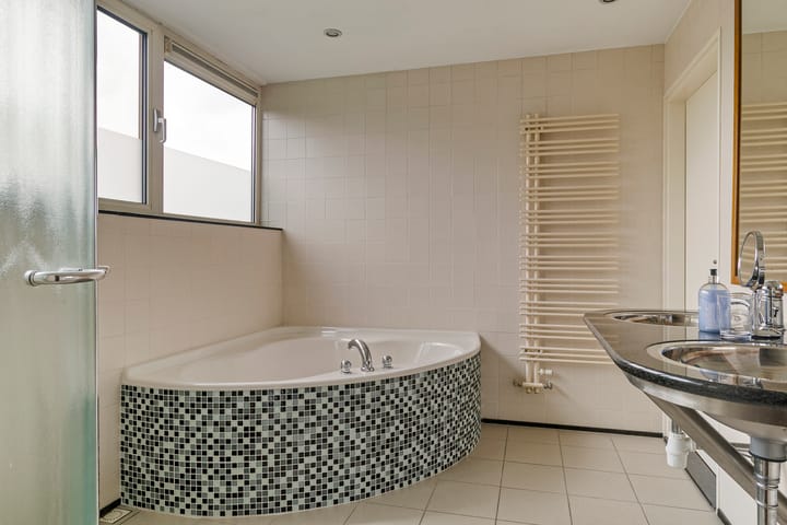 Foto 22 van Lijster 24